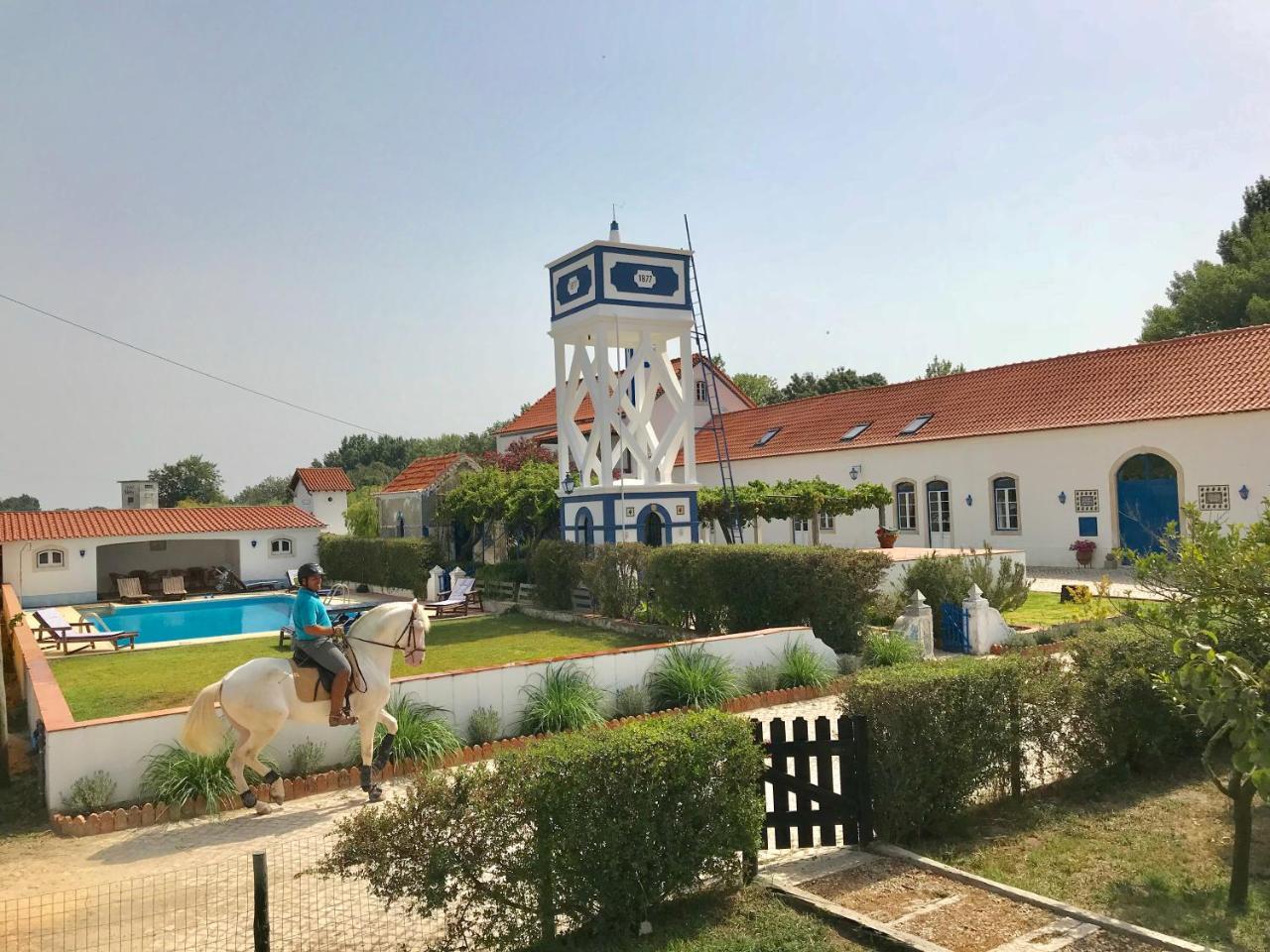 Marchanta Santarém Exteriör bild